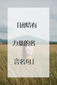 团结有力量的名言名句