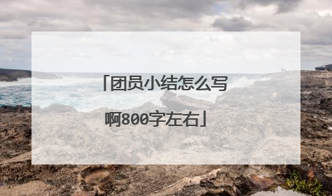 团员小结怎么写啊800字左右