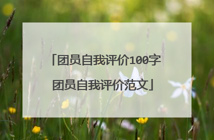 团员自我评价100字 团员自我评价范文