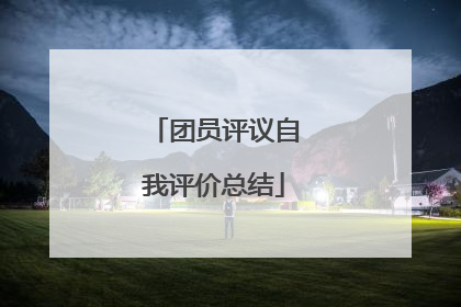 团员评议自我评价总结