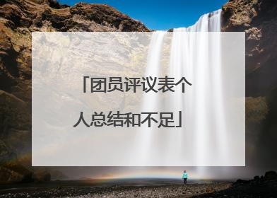 团员评议表个人总结和不足