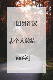 团员评议表个人总结300字