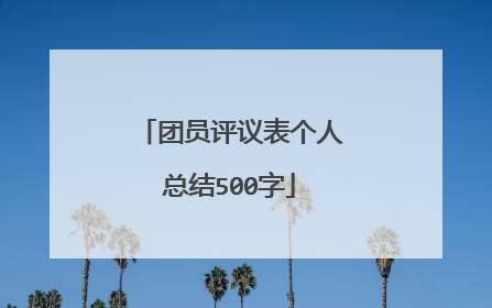 团员评议表个人总结500字