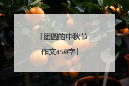 团圆的中秋节作文450字