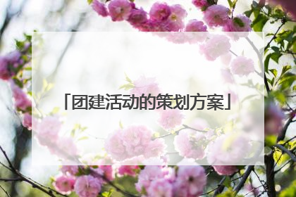 团建活动的策划方案