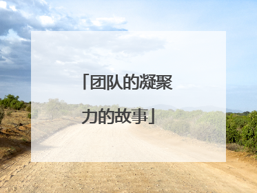 团队的凝聚力的故事