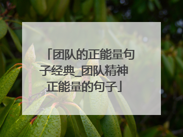 团队的正能量句子经典_团队精神正能量的句子