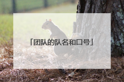 团队的队名和口号