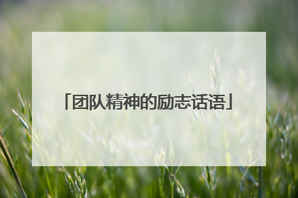 团队精神的励志话语