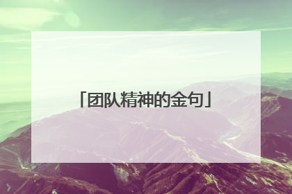 团队精神的金句