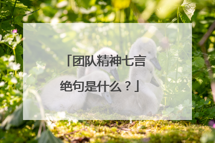 团队精神七言绝句是什么？