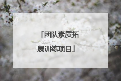 团队素质拓展训练项目
