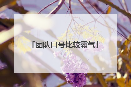 团队口号比较霸气