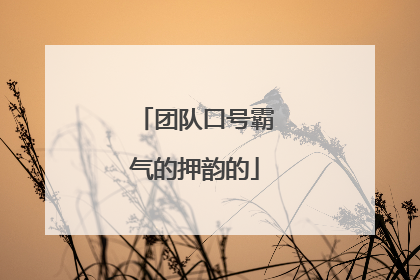 团队口号霸气的押韵的