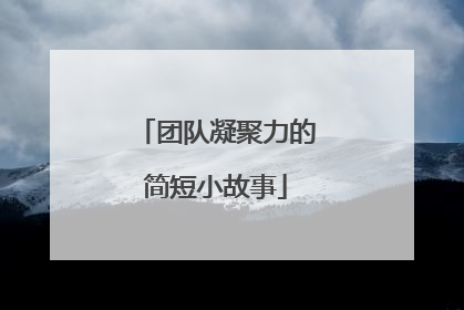 团队凝聚力的简短小故事