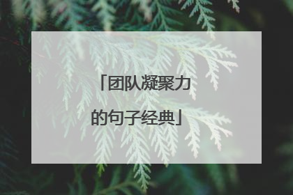 团队凝聚力的句子经典