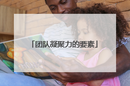 团队凝聚力的要素