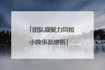 团队凝聚力简短小故事及感悟