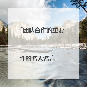 团队合作的重要性的名人名言