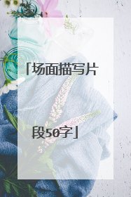 场面描写片段50字