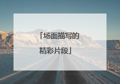 场面描写的精彩片段