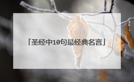 圣经中10句最经典名言