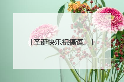 圣诞快乐祝福语。