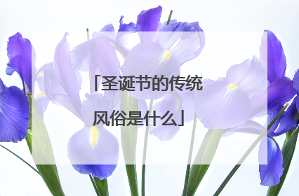 圣诞节的传统风俗是什么