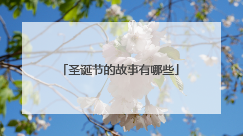 圣诞节的故事有哪些