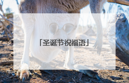 圣诞节祝福语