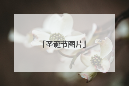 圣诞节图片