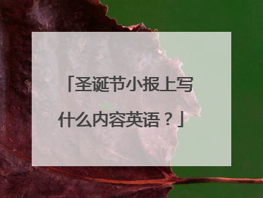 圣诞节小报上写什么内容英语?