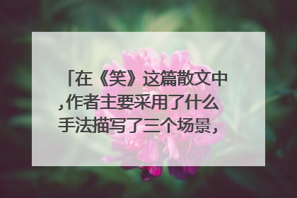 在《笑》这篇散文中,作者主要采用了什么手法描写了三个场景,三个人的笑？