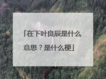 在下叶良辰是什么意思?是什么梗
