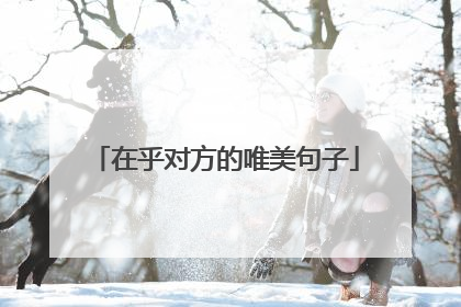 在乎对方的唯美句子