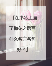 在书签上画了梅花之后写什么名言名句好？
