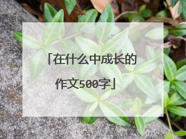 在什么中成长的作文500字