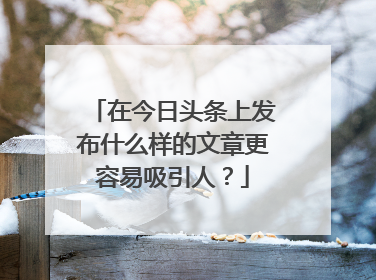 在今日头条上发布什么样的文章更容易吸引人？