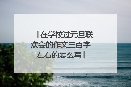 在学校过元旦联欢会的作文三百字左右的怎么写
