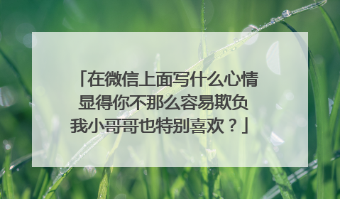 在微信上面写什么心情 显得你不那么容易欺负我小哥哥也特别喜欢?