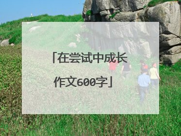 在尝试中成长作文600字