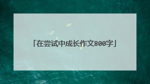 在尝试中成长作文800字