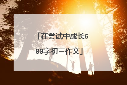 在尝试中成长600字初三作文