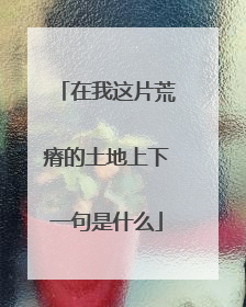 在我这片荒瘠的土地上下一句是什么
