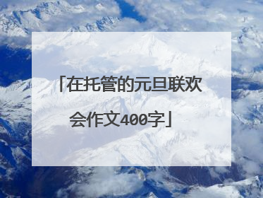 在托管的元旦联欢会作文400字