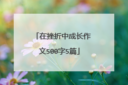在挫折中成长作文500字5篇
