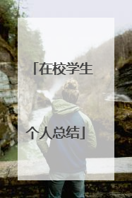 在校学生个人总结