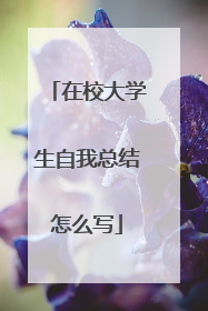 在校大学生自我总结怎么写