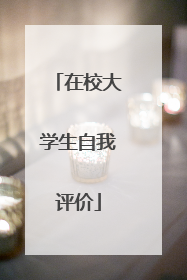 在校大学生自我评价