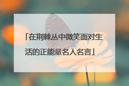 在荆棘丛中微笑面对生活的正能量名人名言